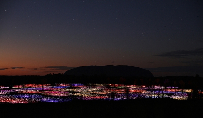 Пустинята в Австралия, огряна от 50 000 светещи цветя