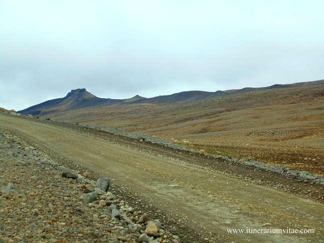 Един ден сред нереалните пейзажи на Исландия