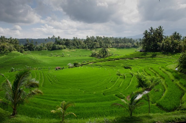 8 неща, които трябва да знаеш за индонезийската култура