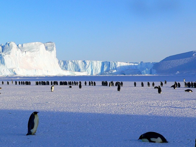 10 странни правила за пътуване в Антарктида