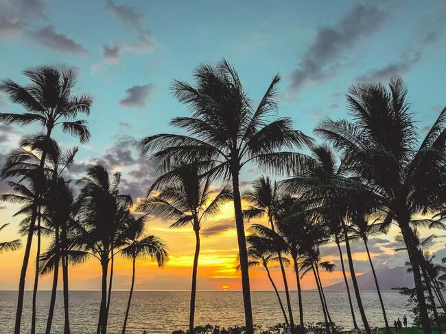 Мауи или Оаху - кой е по-добрият хавайски остров?