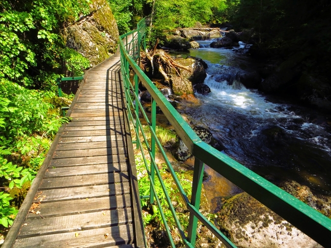 екопътеки в българия