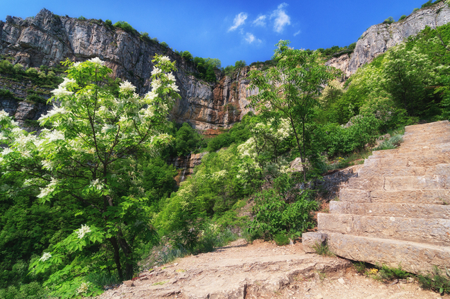 екопътеки в българия