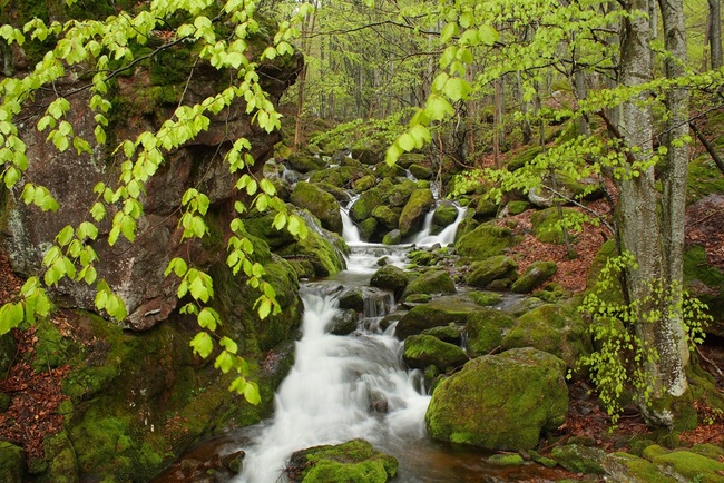 Какво да видите в района на Враца (на до 80–100 км)