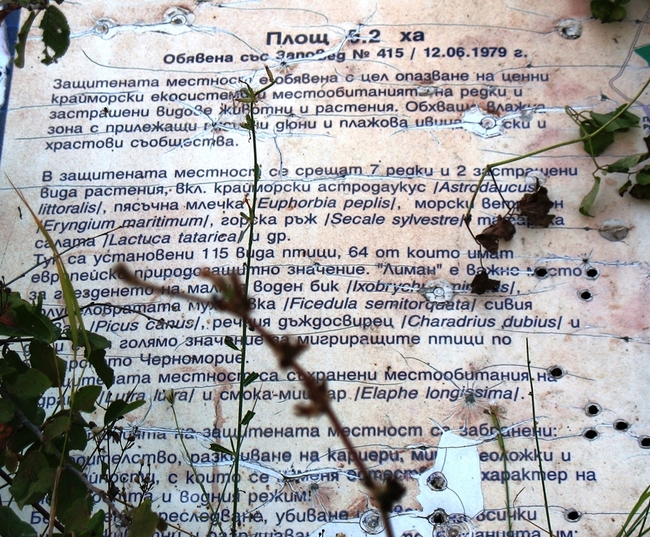 Тайни местенца за почивка и пиене на бира: Варна 3 Тайни местенца за почивка и пиене на бира: Варна 3