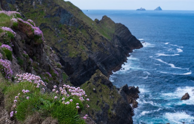 Ирландия: Няколко спирки по Дивия атлантически път