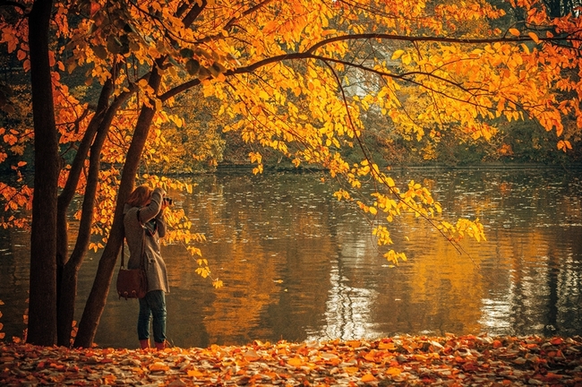 Наръчник за есенно блаженство (в 20 снимки)