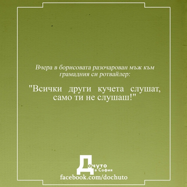 Дочуто в София – мястото за малки градски истории