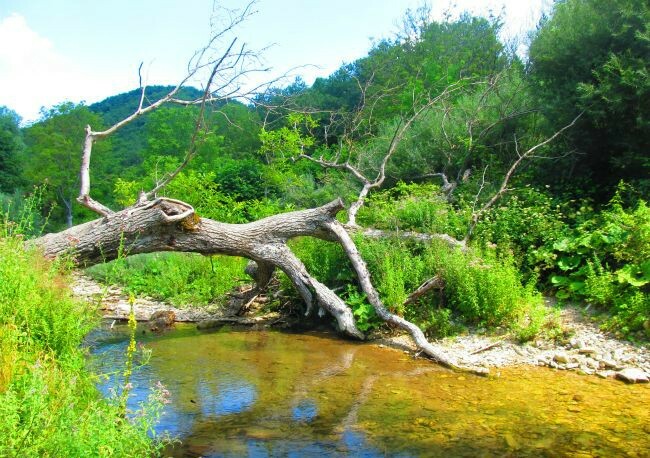 Сини вир – водопадът в сърцето на Котленския Балкан