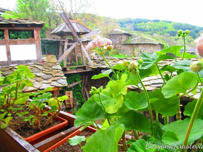 Село Ковачевица и загадките на планината