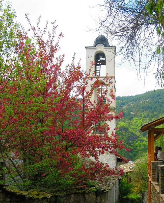 Село Ковачевица и загадките на планината
