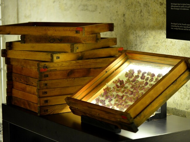 Музей на парфюма отвори врати в Испания