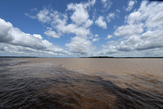 Филип Лхамсурен за Амазония и как да работиш мечтата си