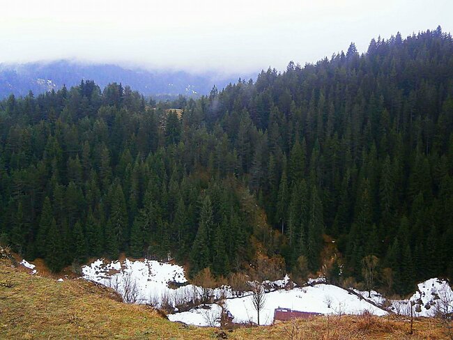 Родопска магия в село Ягодина (пътепис)