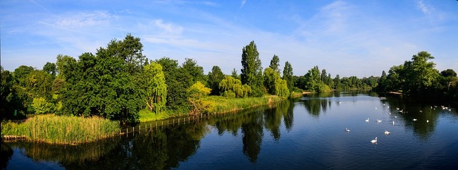 Хайд парк – из красотите на най-големия лондонски парк Хайд парк – из красотите на най-големия лондонски парк