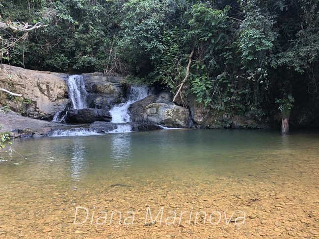 Диана Маринова за пътуването ѝ до Борнео: Любовта събужда любов! (част 2)