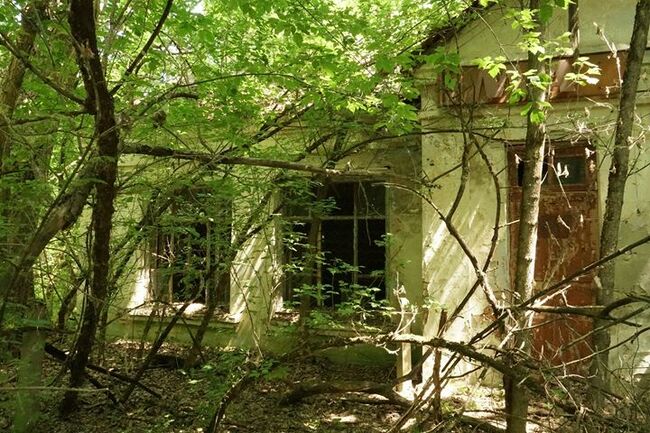 Луис Баш: На пътешествие до Чернобил - извън "отъпканите пътеки" Част 2 (снимки) Луис Баш: На пътешествие до Чернобил - извън "отъпканите пътеки" Част 2 (снимки)