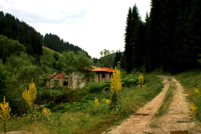 Възроден - Писмо от село Мугла