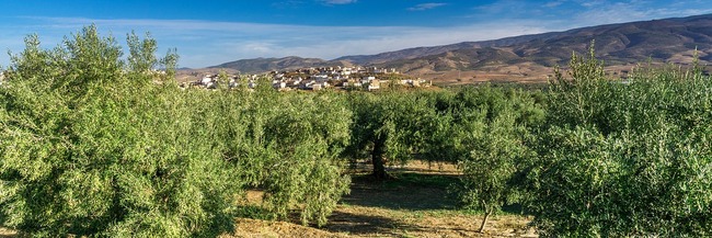 В Испания се продават цели обезлюдени села