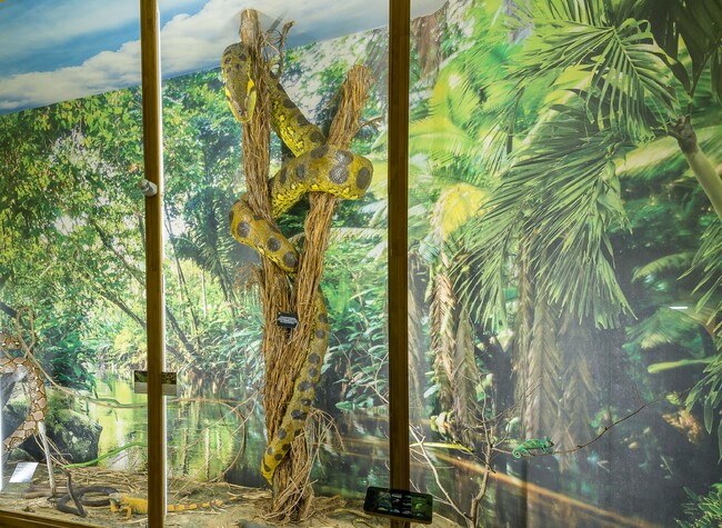 3D виртуална разходка в Природонаучния музей и Иконната галерия