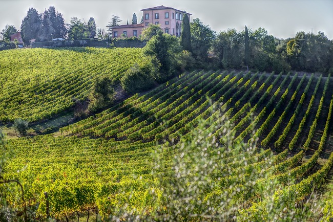 6 от най-ярките винарски региони в Европа, които всеки пътешественик ще иска да посети