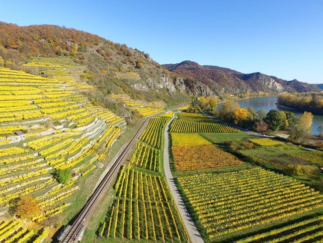6 от най-ярките винарски региони в Европа, които всеки пътешественик ще иска да посети