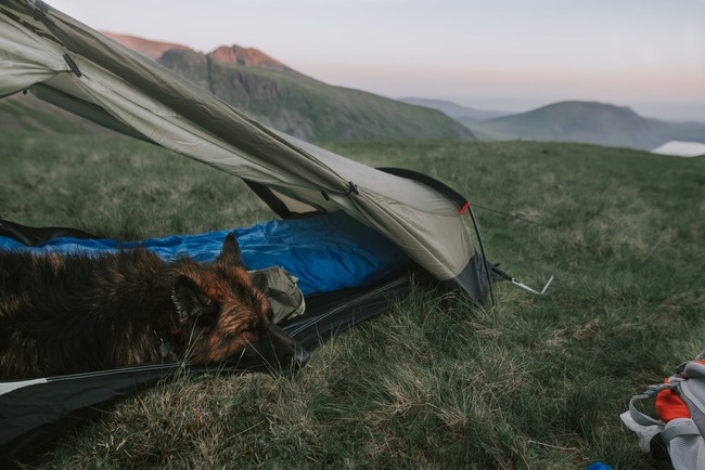 Защо да отидем на палатка сред природата?