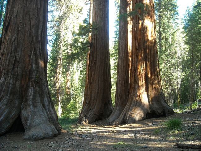 Националният парк Йосемити вдъхва страхопочитание и благоговение