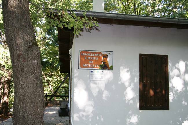 Природен парк "Витоша" - първият на Балканския полуостров! Какво да видим? (12 предложения) Природен парк "Витоша" - първият на Балканския полуостров! Какво да видим? (12 предложения)