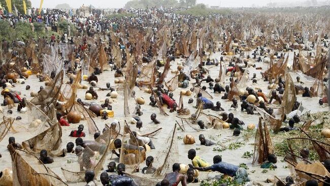 Фестивал на риболова в Аргунгу, Нигерия