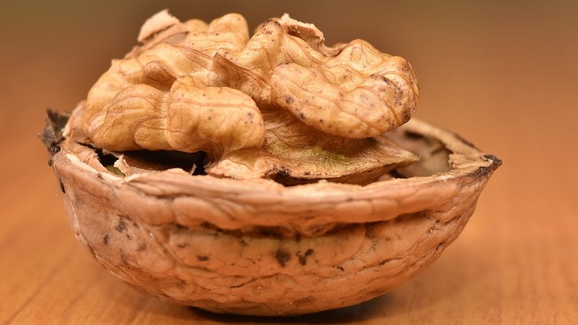 Интересни факти за орехите