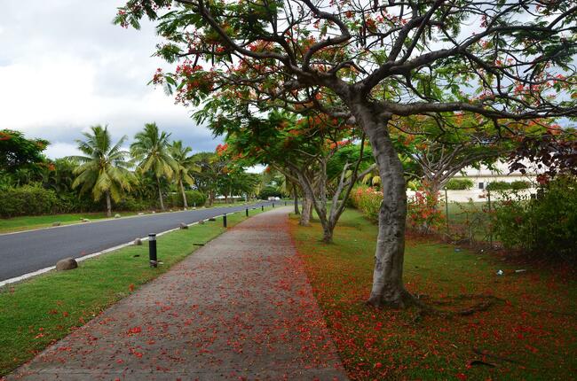 3 причини да отидете на Фиджи това лято