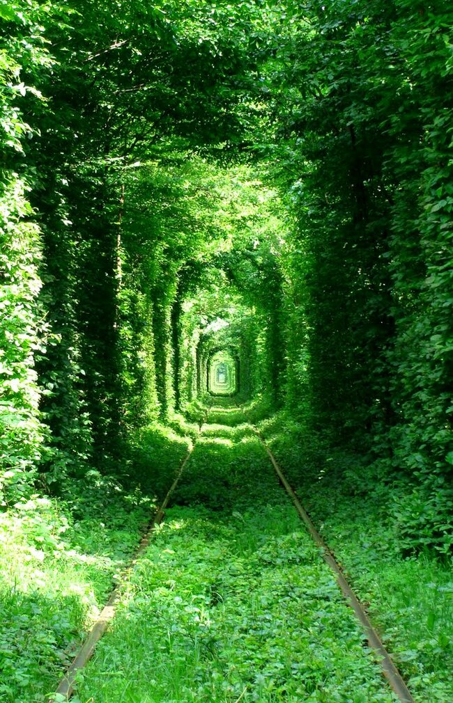 Тунелът на любовта – най-романтичното място в Украйна