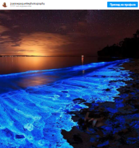 Девствени плажове и светеща вода в залива Джервис, Австралия