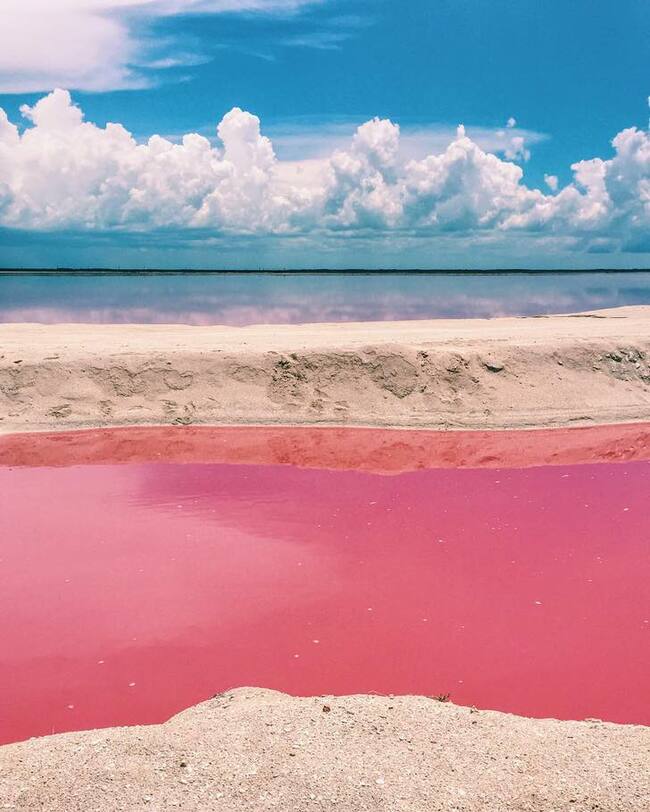 Едно от най-достойните за Instagram места: Розовата лагуна в Мексико