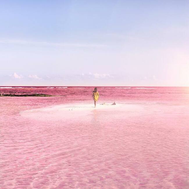 Едно от най-достойните за Instagram места: Розовата лагуна в Мексико