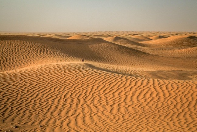 Един ден в пустинята Сахара – какво трябва да знаем